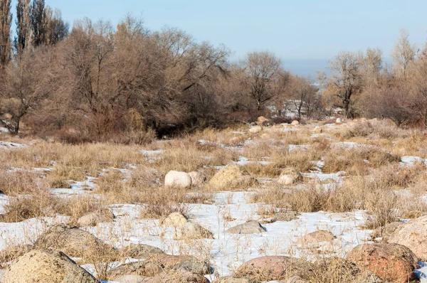  kayalar ve woods, erken Bahar yatay