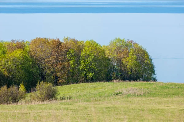 Bahar, büyük bir nehir, renkli ağaçlar. Nehir kenarında yumuşak sabah şafak ışığı içinde filizlenen büyük ağaç. Sakin nehir düşük dağlara akan