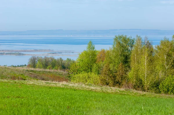 Bahar, büyük bir nehir, renkli ağaçlar. Nehir kenarında yumuşak sabah şafak ışığı içinde filizlenen büyük ağaç. Sakin nehir düşük dağlara akan