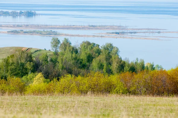 Voorjaar Een Grote Rivier Kleurrijke Bomen Grote Boom Ontluikende Naast — Stockfoto