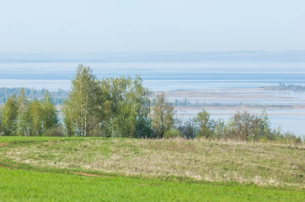 Bahar, büyük bir nehir, renkli ağaçlar. Nehir kenarında yumuşak sabah şafak ışığı içinde filizlenen büyük ağaç. Sakin nehir düşük dağlara akan