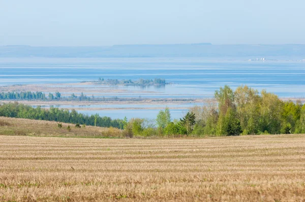 Bahar, büyük bir nehir, renkli ağaçlar. Nehir kenarında yumuşak sabah şafak ışığı içinde filizlenen büyük ağaç. Sakin nehir düşük dağlara akan
