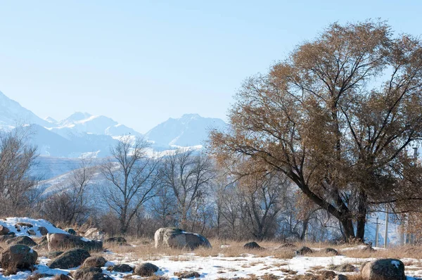 Early Spring Landscape Rocks Woods — Stock Photo, Image