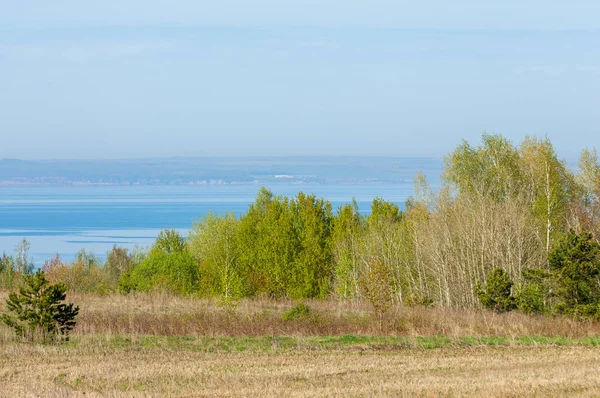 Bahar, büyük bir nehir, renkli ağaçlar. Nehir kenarında yumuşak sabah şafak ışığı içinde filizlenen büyük ağaç. Sakin nehir düşük dağlara akan
