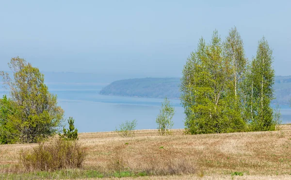 Bahar, büyük bir nehir, renkli ağaçlar. Nehir kenarında yumuşak sabah şafak ışığı içinde filizlenen büyük ağaç. Sakin nehir düşük dağlara akan
