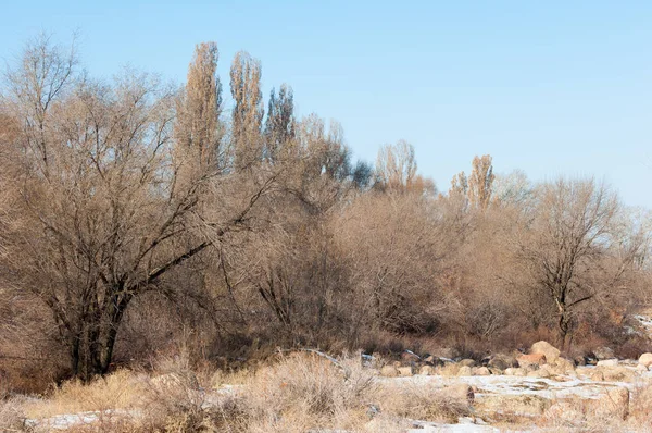 Vroege Voorjaar Landschap Met Rotsen Bossen — Stockfoto