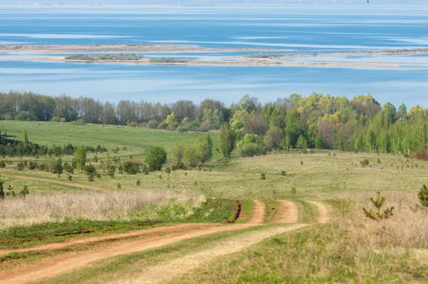 Bahar, büyük bir nehir, renkli ağaçlar. Nehir kenarında yumuşak sabah şafak ışığı içinde filizlenen büyük ağaç. Sakin nehir düşük dağlara akan