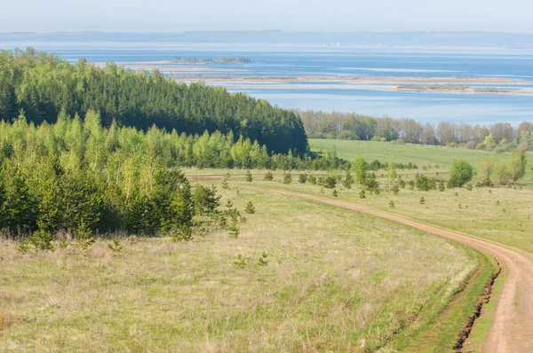 Bahar, büyük bir nehir, renkli ağaçlar. Nehir kenarında yumuşak sabah şafak ışığı içinde filizlenen büyük ağaç. Sakin nehir düşük dağlara akan