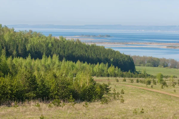 Bahar, büyük bir nehir, renkli ağaçlar. Nehir kenarında yumuşak sabah şafak ışığı içinde filizlenen büyük ağaç. Sakin nehir düşük dağlara akan