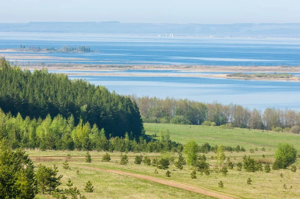 Bahar, büyük bir nehir, renkli ağaçlar. Nehir kenarında yumuşak sabah şafak ışığı içinde filizlenen büyük ağaç. Sakin nehir düşük dağlara akan