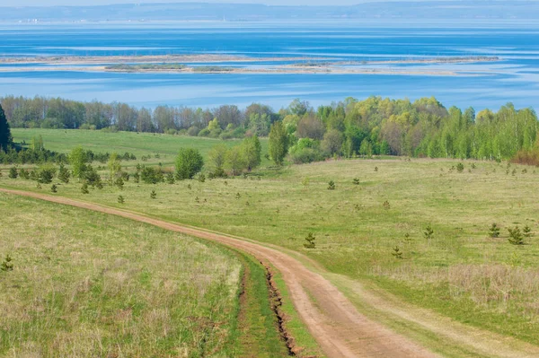 Bahar, büyük bir nehir, renkli ağaçlar. Nehir kenarında yumuşak sabah şafak ışığı içinde filizlenen büyük ağaç. Sakin nehir düşük dağlara akan