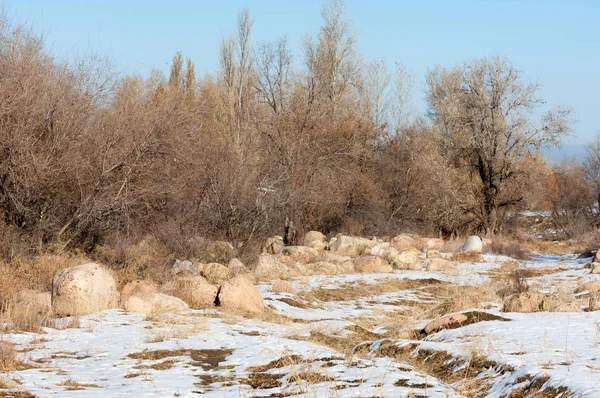  kayalar ve woods, erken Bahar yatay