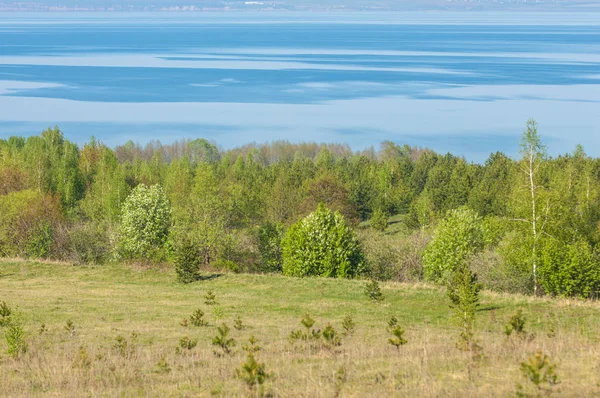 Bahar, büyük bir nehir, renkli ağaçlar. Nehir kenarında yumuşak sabah şafak ışığı içinde filizlenen büyük ağaç. Sakin nehir düşük dağlara akan