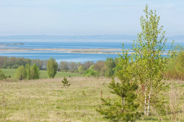 Bahar, büyük bir nehir, renkli ağaçlar. Nehir kenarında yumuşak sabah şafak ışığı içinde filizlenen büyük ağaç. Sakin nehir düşük dağlara akan
