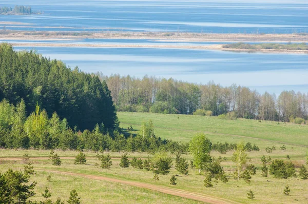 Bahar, büyük bir nehir, renkli ağaçlar. Nehir kenarında yumuşak sabah şafak ışığı içinde filizlenen büyük ağaç. Sakin nehir düşük dağlara akan