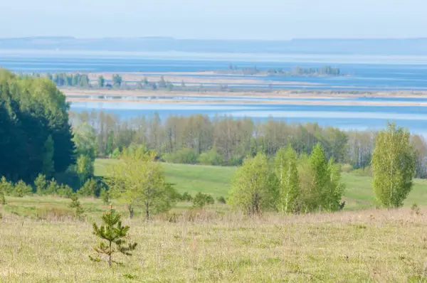 Bahar, büyük bir nehir, renkli ağaçlar. Nehir kenarında yumuşak sabah şafak ışığı içinde filizlenen büyük ağaç. Sakin nehir düşük dağlara akan