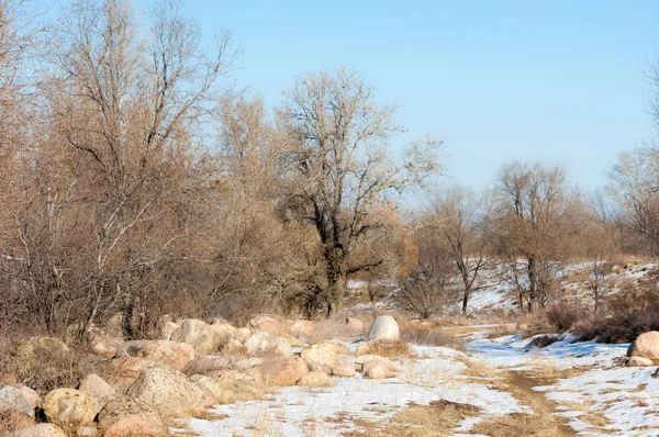  kayalar ve woods, erken Bahar yatay