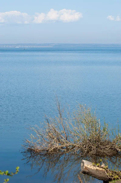 Bahar, büyük bir nehir, renkli ağaçlar. Nehir kenarında yumuşak sabah şafak ışığı içinde filizlenen büyük ağaç. Sakin nehir düşük dağlara akan