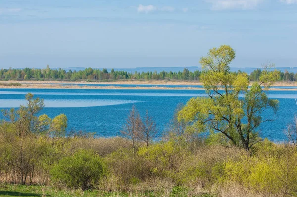 Bahar, büyük bir nehir, renkli ağaçlar. Nehir kenarında yumuşak sabah şafak ışığı içinde filizlenen büyük ağaç. Sakin nehir düşük dağlara akan