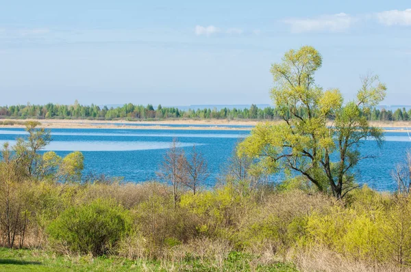 Bahar, büyük bir nehir, renkli ağaçlar. Nehir kenarında yumuşak sabah şafak ışığı içinde filizlenen büyük ağaç. Sakin nehir düşük dağlara akan