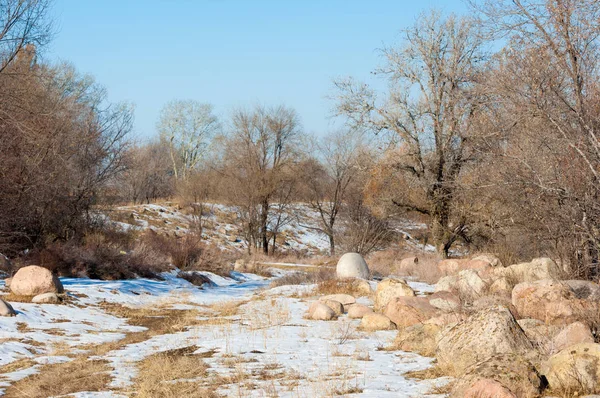  kayalar ve woods, erken Bahar yatay