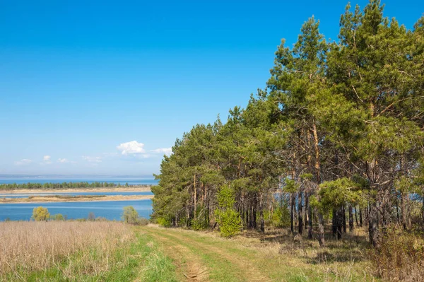 Bahar, büyük bir nehir, renkli ağaçlar. Nehir kenarında yumuşak sabah şafak ışığı içinde filizlenen büyük ağaç. Sakin nehir düşük dağlara akan