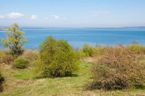 Bahar, büyük bir nehir, renkli ağaçlar. Nehir kenarında yumuşak sabah şafak ışığı içinde filizlenen büyük ağaç. Sakin nehir düşük dağlara akan
