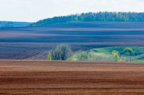 Fält Upplöjd Sås Spannmål Upplöjd Fält Vårdag Svart Jord Upplöjd — Stockfoto