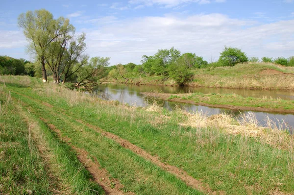 Våren River Träd Växer Vårsolen — Stockfoto