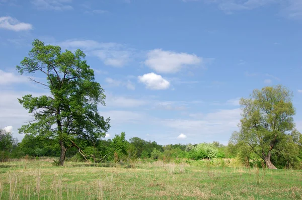 Bahar Nehri,, ağaç bahar güneş büyür..