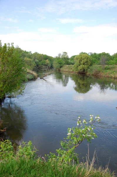 Våren River Träd Växer Vårsolen — Stockfoto