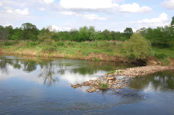 Spring River Albero Cresce Sotto Sole Primaverile — Foto Stock