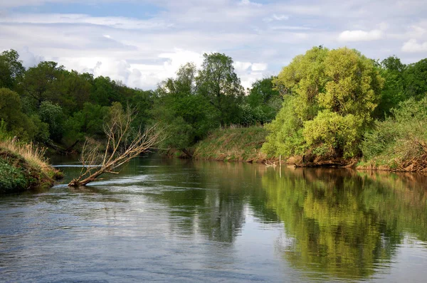 Bahar Nehri,, ağaç bahar güneş büyür..