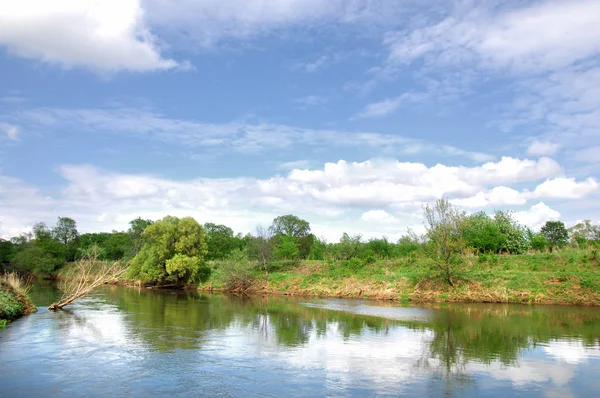 Spring River Boom Groeit Lente Zon — Stockfoto