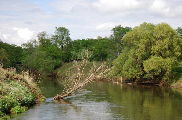 Bahar Nehri,, ağaç bahar güneş büyür..