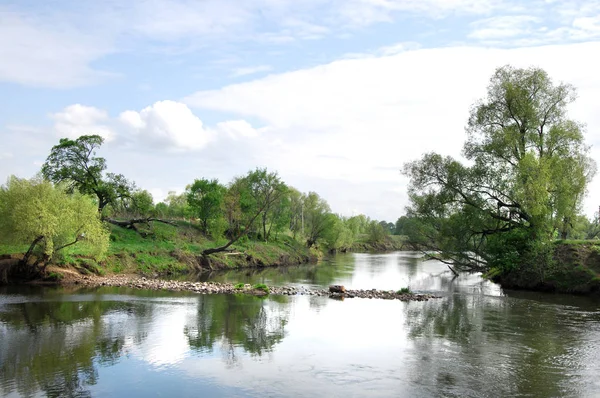 Våren River Träd Växer Vårsolen — Stockfoto