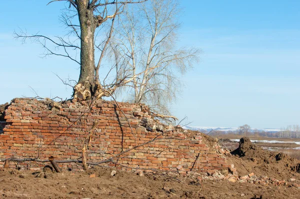 Bahar. Son kar. Yalnız ağaç. Kırık tuğla duvar