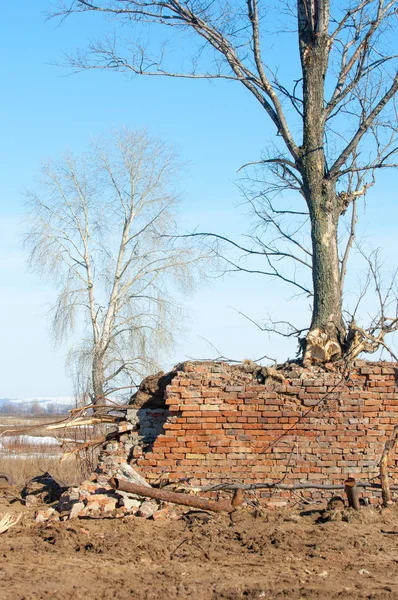Bahar. Son kar. Yalnız ağaç. Kırık tuğla duvar