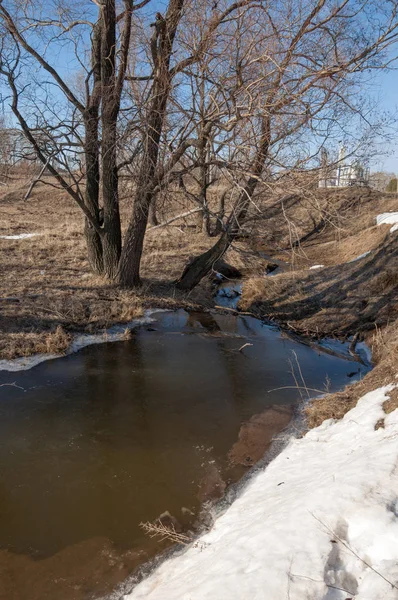 Bahar Orman, solmuş çimen, son kar, sıcak bahar günü, masaüstü duvar kağıtları. Bu fotoğraf iyi tasarım çözümü. Kunduzlar bir baraj inşa