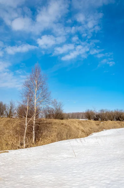 Primavera Nella Foresta Erba Appassita Ultima Neve Calda Giornata Primaverile — Foto Stock