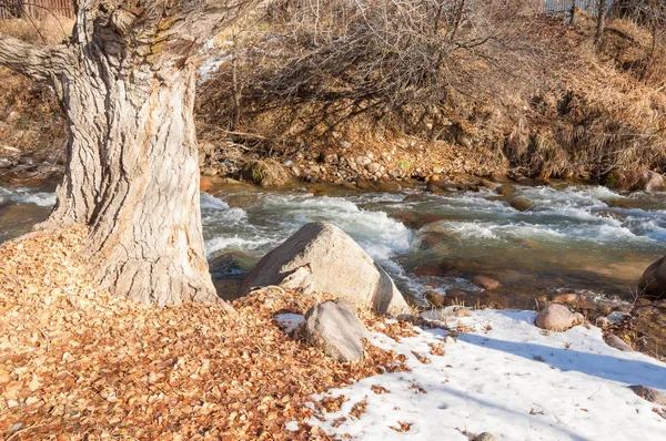 Neve Primavera Scorsa Sole Caldo Affettuoso — Foto Stock