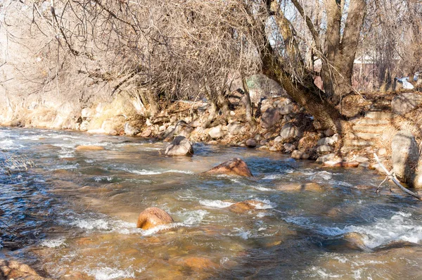 Sıcak, sevgi güneş son bahar kar