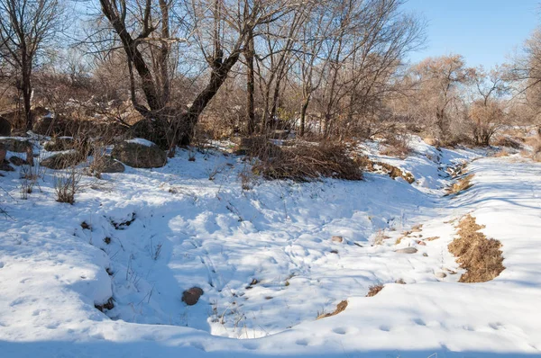 Sıcak, sevgi güneş son bahar kar