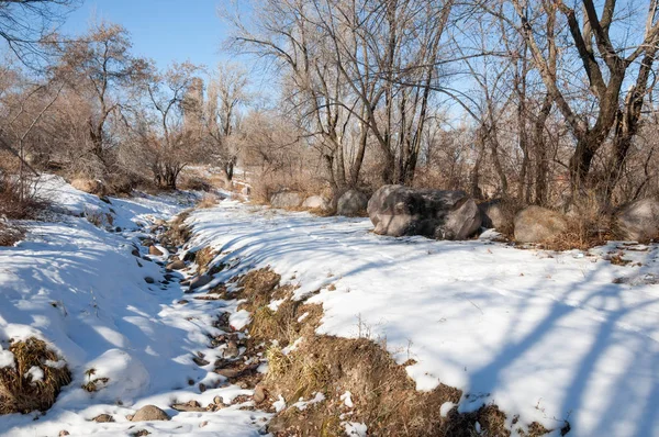 Sıcak, sevgi güneş son bahar kar