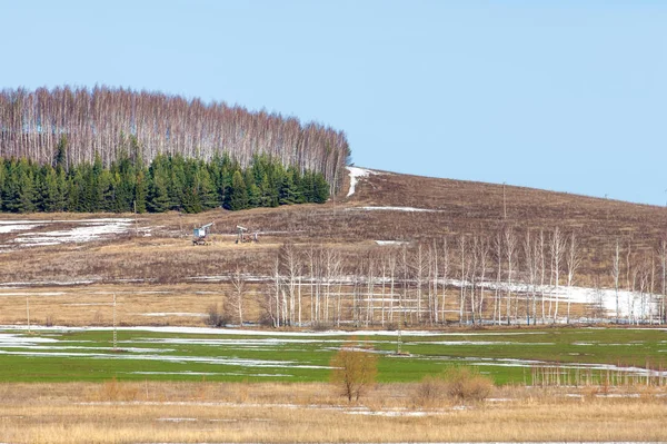 春の耕起 白樺葉 枯れた草の油を揺動なし 去年の冬雪の中 — ストック写真