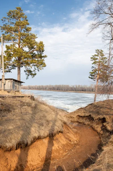 Bahar çam ormanı. Nehir buz. bahar mevsimi. Bahar, Bahar, springtide, birinci sınıf. sezon sonra kış ve yaz önce hangi bitki örtüsü gelmeye başladı, 