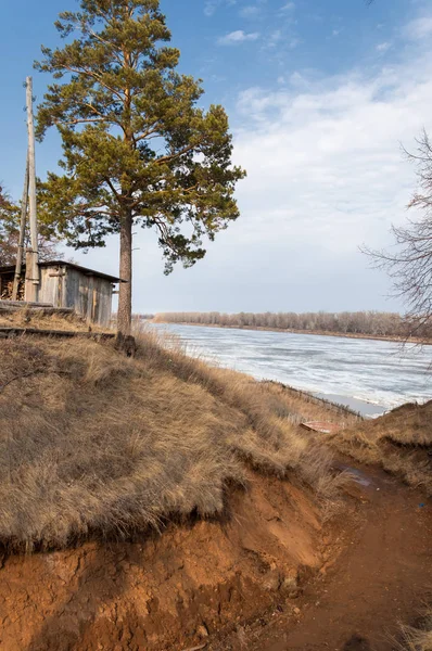 Bahar çam ormanı. Nehir buz. bahar mevsimi. Bahar, Bahar, springtide, birinci sınıf. sezon sonra kış ve yaz önce hangi bitki örtüsü gelmeye başladı, 
