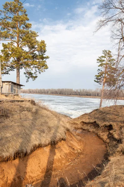 Bahar çam ormanı. Nehir buz. bahar mevsimi. Bahar, Bahar, springtide, birinci sınıf. sezon sonra kış ve yaz önce hangi bitki örtüsü gelmeye başladı, 