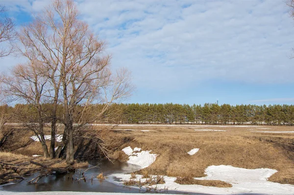 Brook bahar. güneşli bir bahar brooks suda eriyen doku. nehir dere dere. Bahar Nehri üzerinde buz erime. 