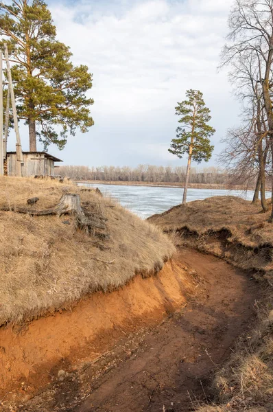 Bahar çam ormanı. Nehir buz. bahar mevsimi. Bahar, Bahar, springtide, birinci sınıf. sezon sonra kış ve yaz önce hangi bitki örtüsü gelmeye başladı, 